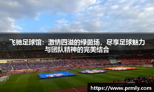 飞驰足球馆：激情四溢的绿茵场，尽享足球魅力与团队精神的完美结合